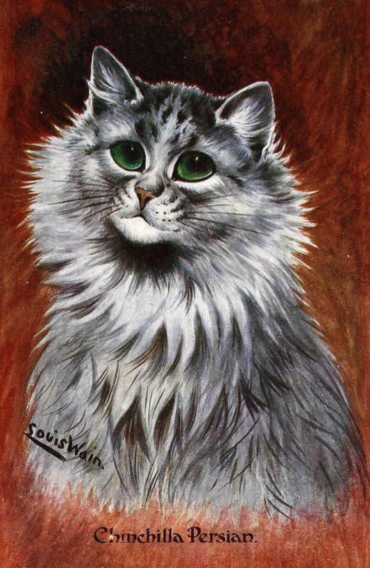 Mystery Scratches on Your Kitty's Nose? Let's Paw Through the Possibilities!