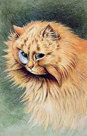 Beyond the House Cat: Exploring the Wild and Wonderful World of Feline Species